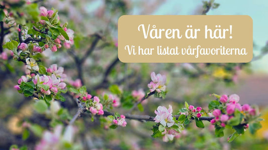 10 vårfavoriter som håller stilen, säsong efter säsong