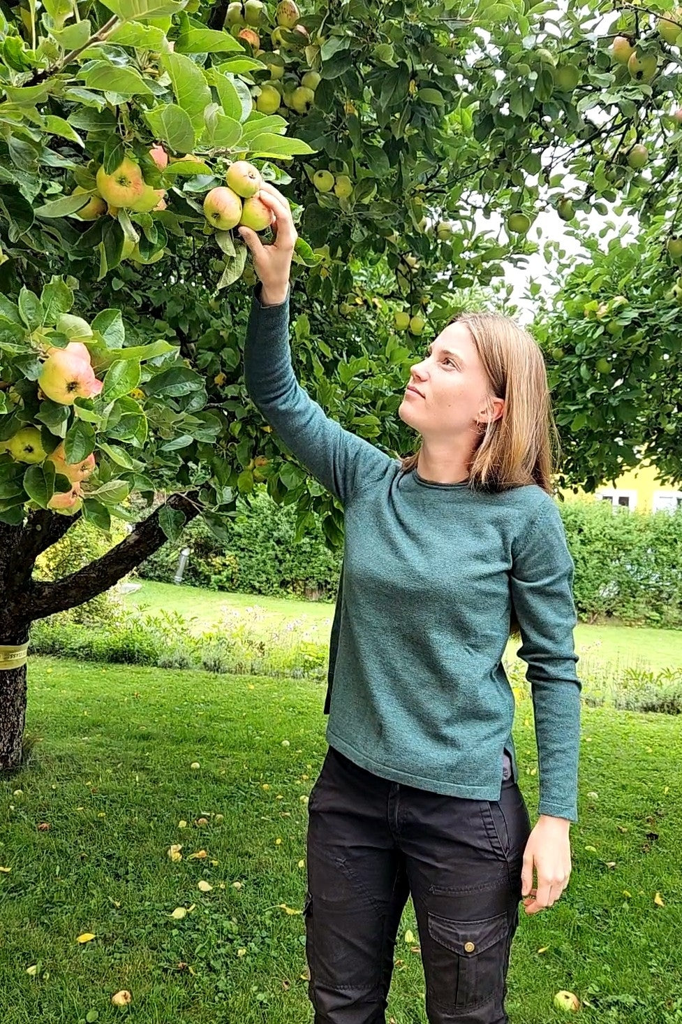 Tröja Nia